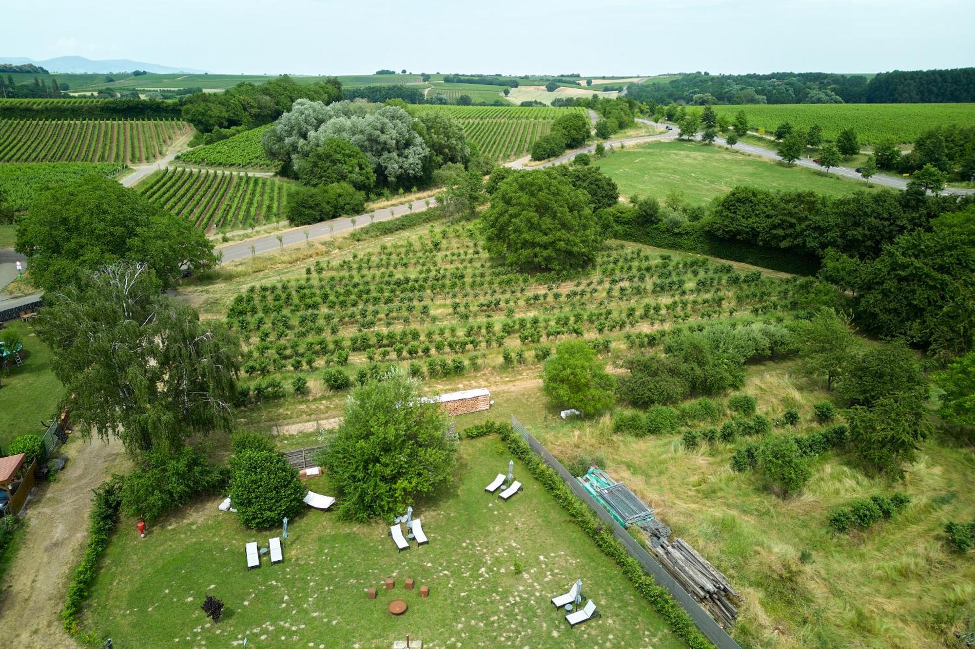 Weinhotel Fritz Walter Niederhorbach Zewnętrze zdjęcie
